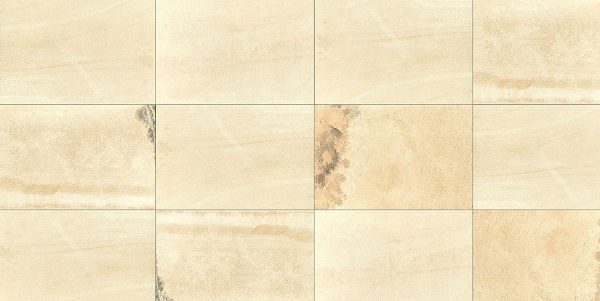 MONVISO Fossil - immagine 2
